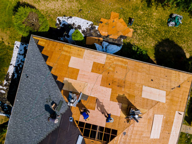 Best Roof Gutter Cleaning  in Marble Falls, TX