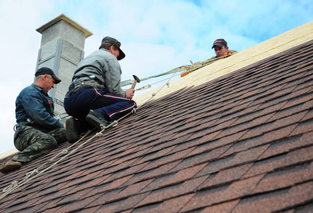 Roof Gutter Cleaning in Marble Falls, TX